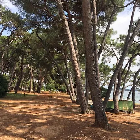 Valentina * Novigrad (Istria)