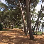 Valentina * Novigrad Istria